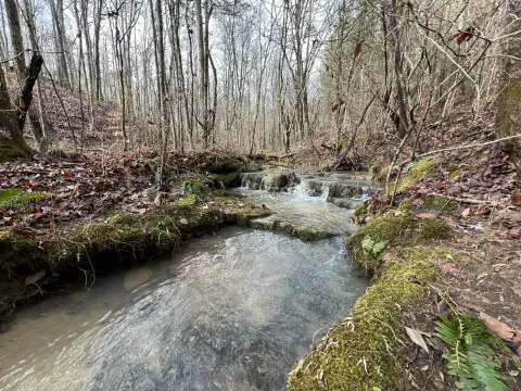 Meigs 158 Acre Hunting Tract