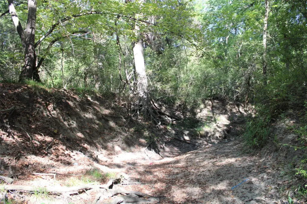 Picture 17