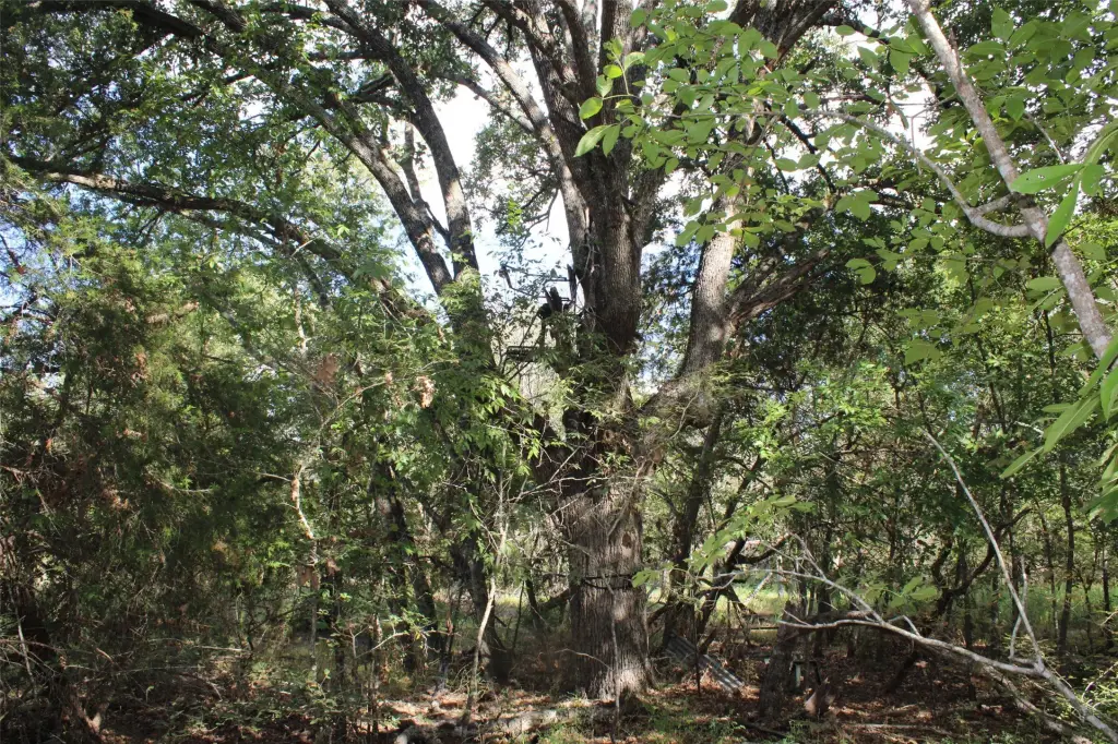 Picture 14