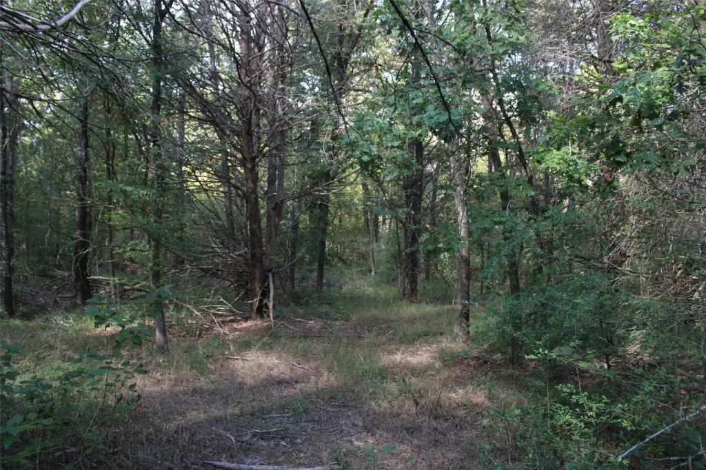 Picture 15