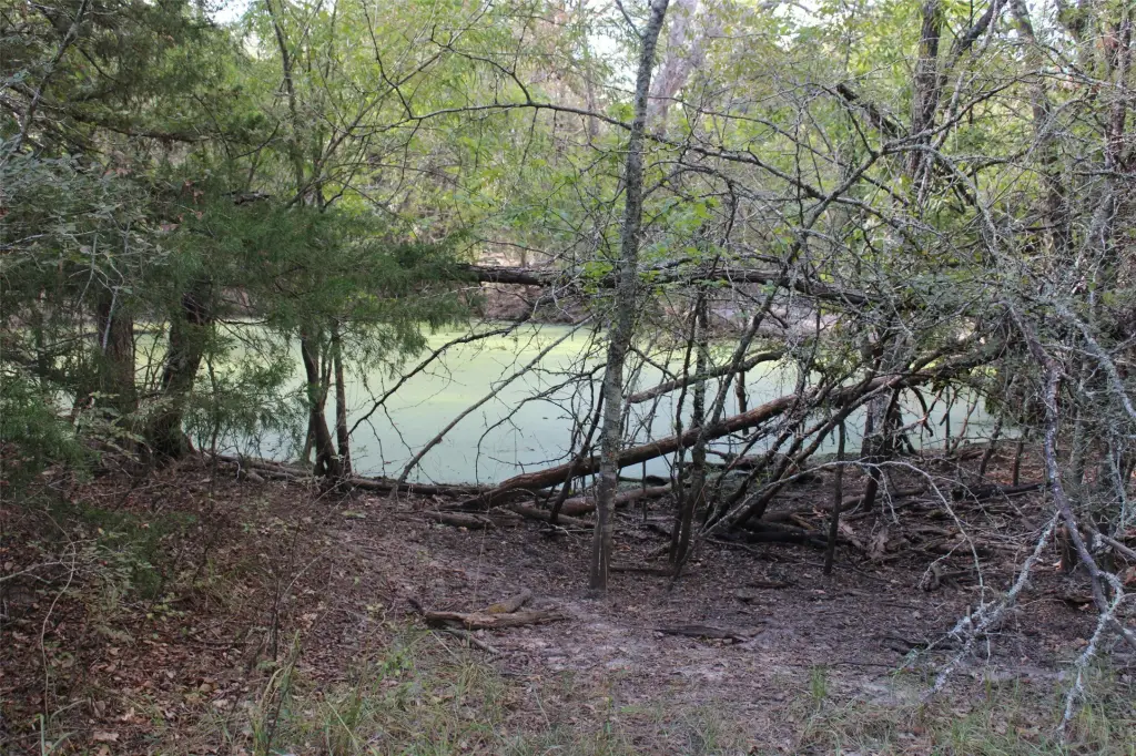 Picture 13