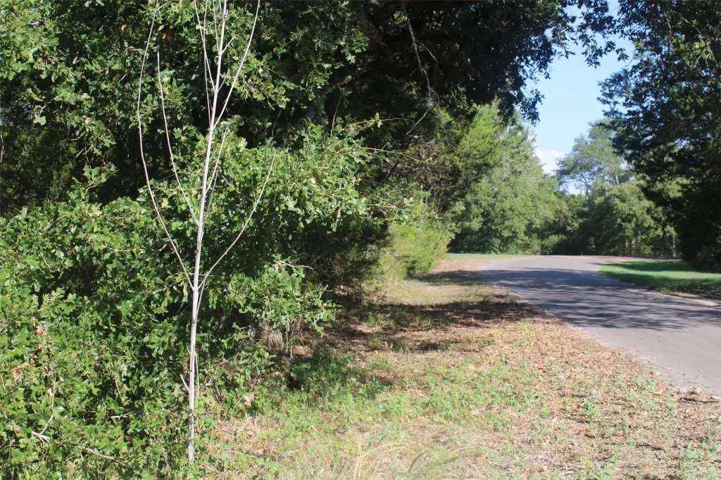 Picture 10