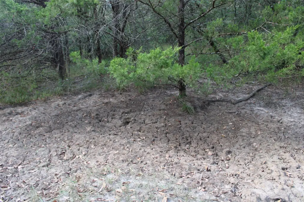 Picture 18