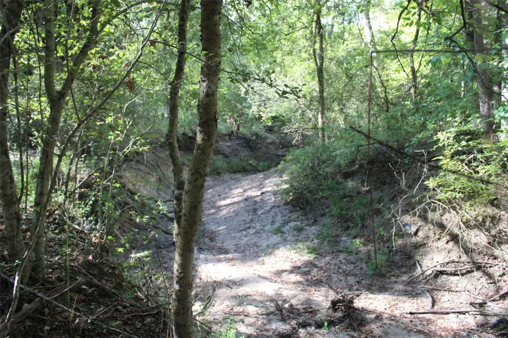Picture 16