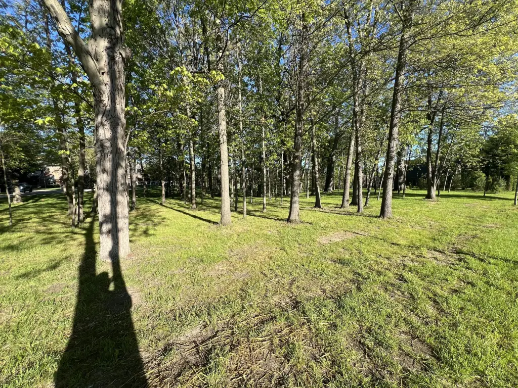 Picture 4