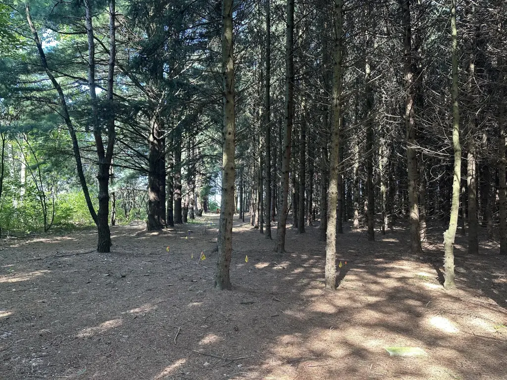 Picture 9