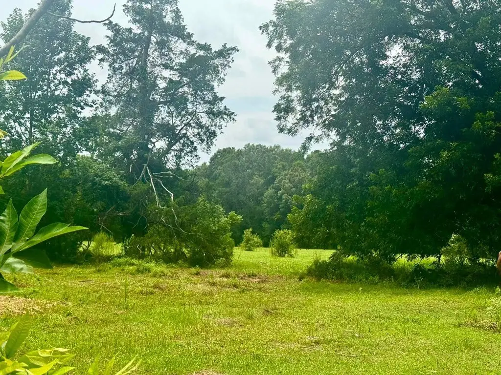 Picture 22