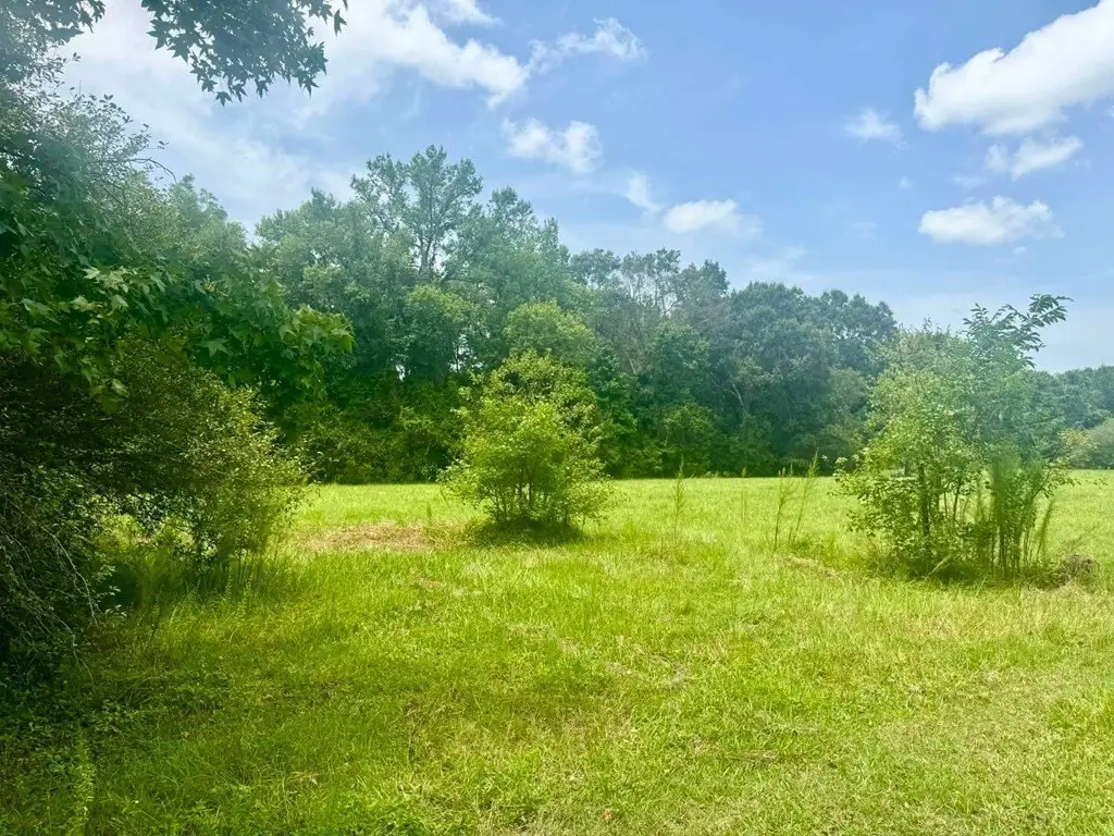 Picture 19