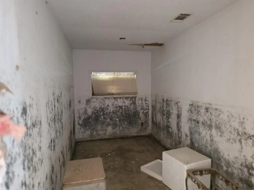 Picture 31
