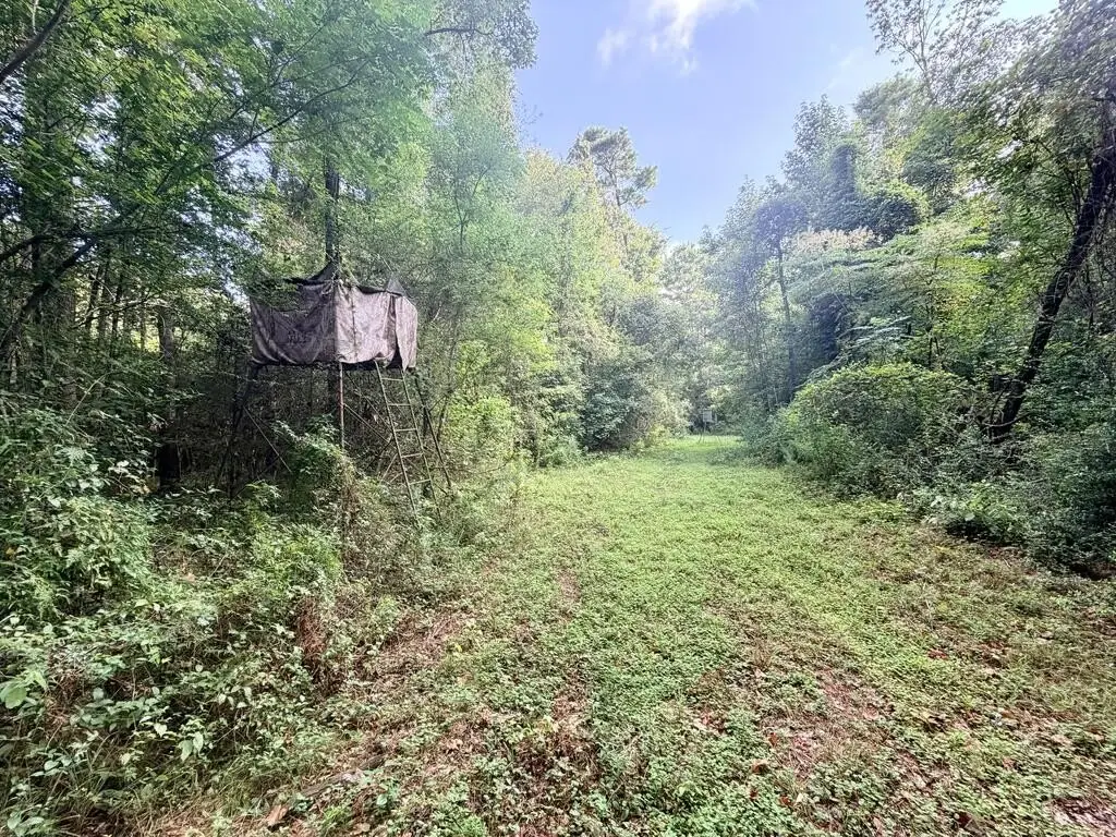 Picture 17