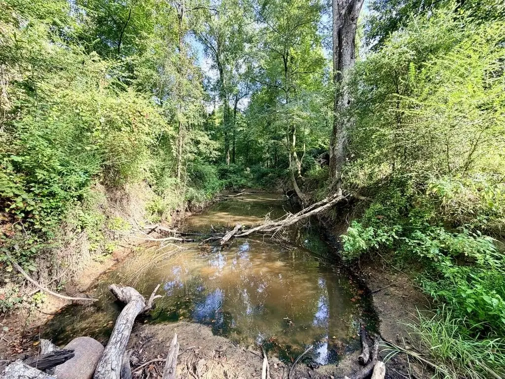 Picture 29
