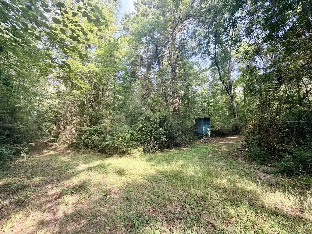 Picture 19