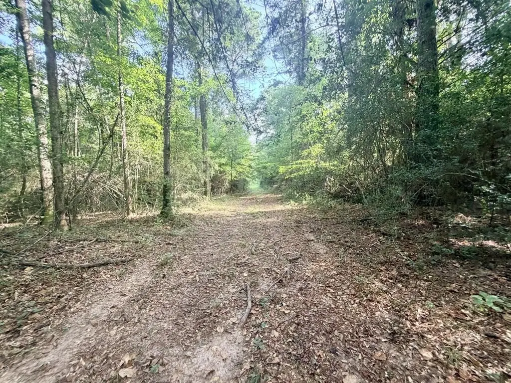Picture 18