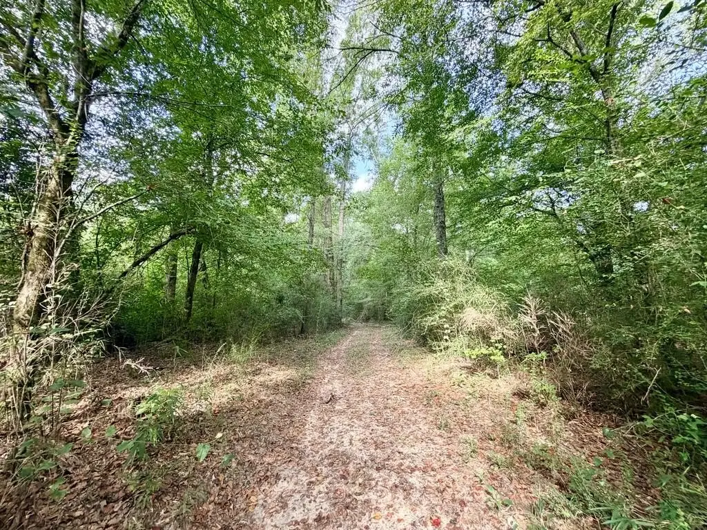 Picture 27