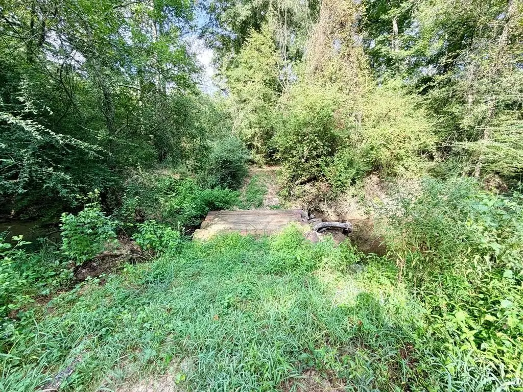 Picture 30