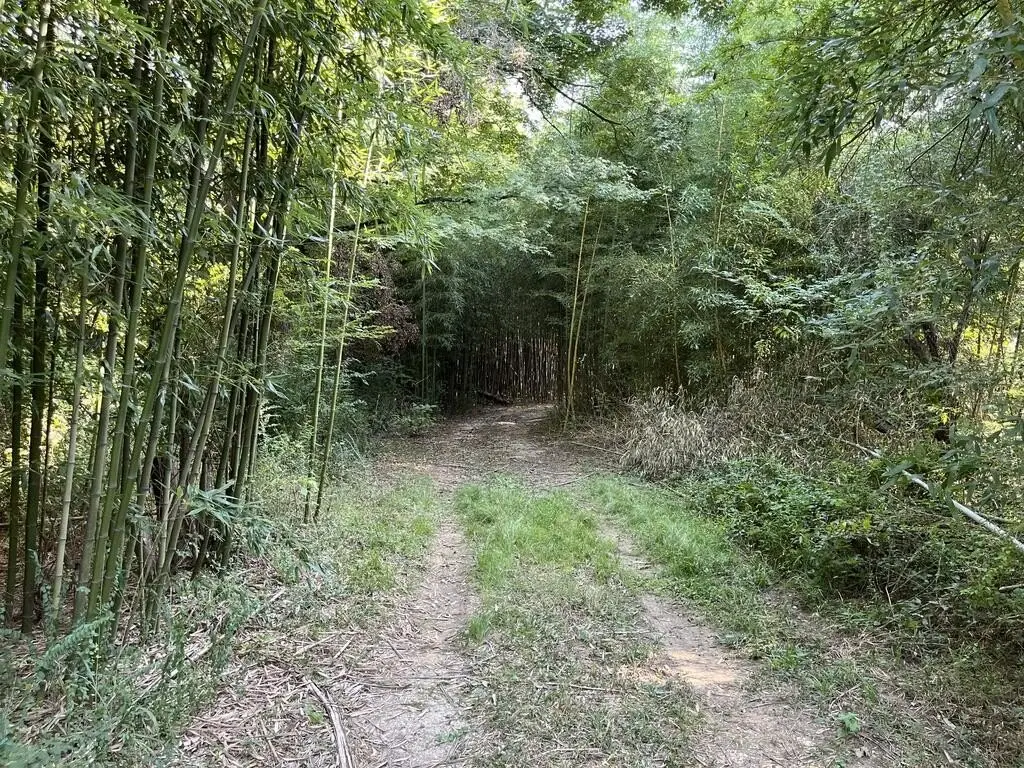 Picture 14