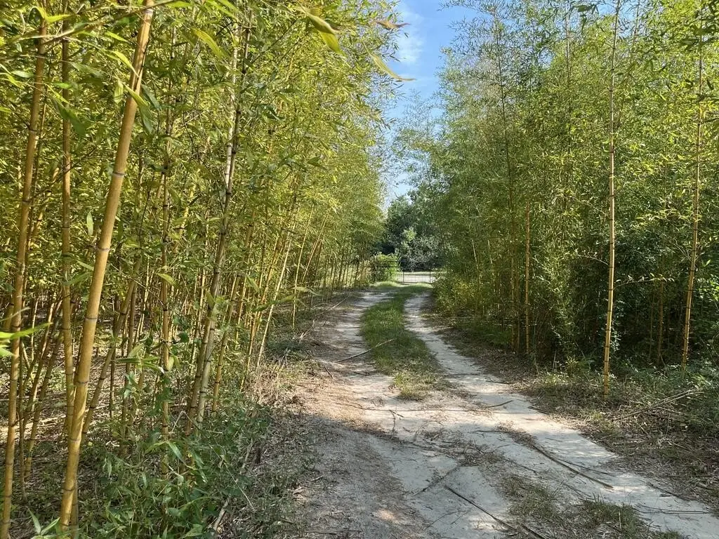 Picture 16