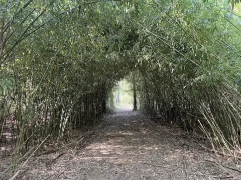 Highway-Frontage Land