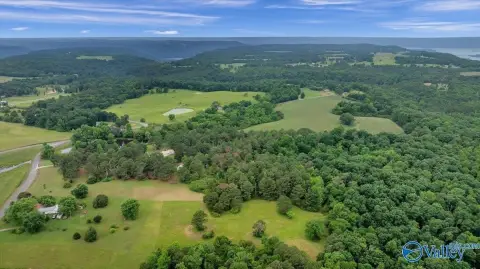 Section, AL Wooded Acreage
