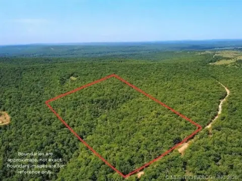 Wooded Hunting Land