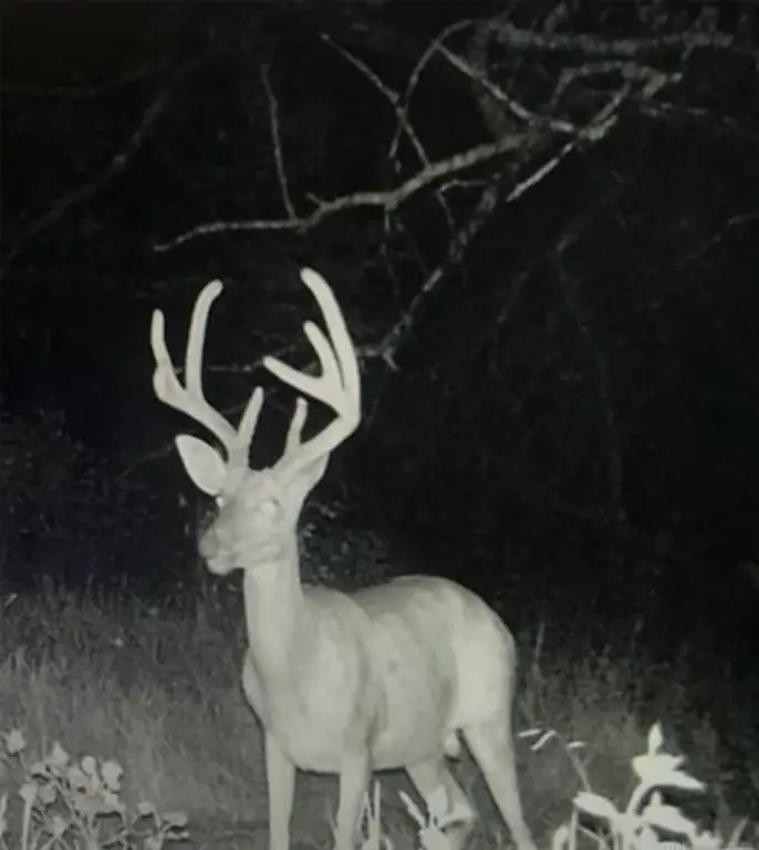 Picture 27