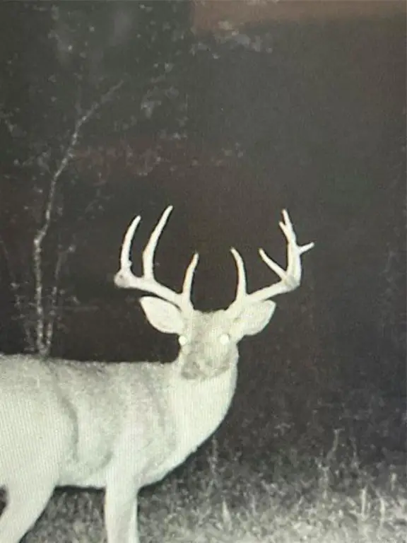 Picture 32