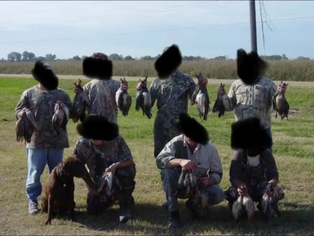 Picture 12