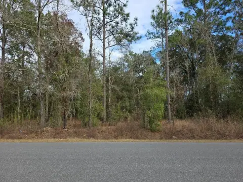 Residential Lot in Ocala, Florida