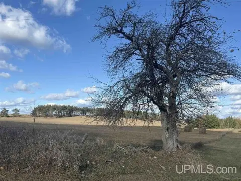 Carney Vacant Land For Sale