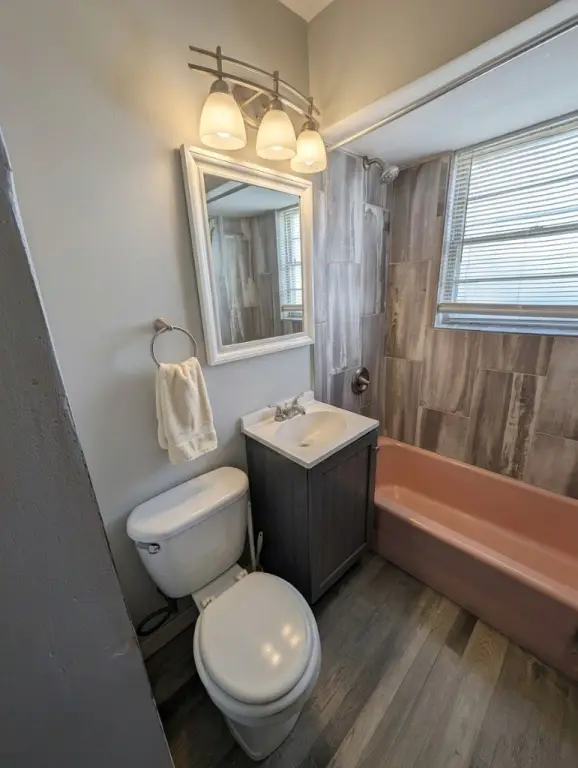 Picture 11