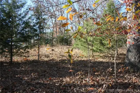 Wooded Lot in Ozark Hills