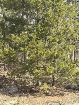 Residential Land in Four Seasons