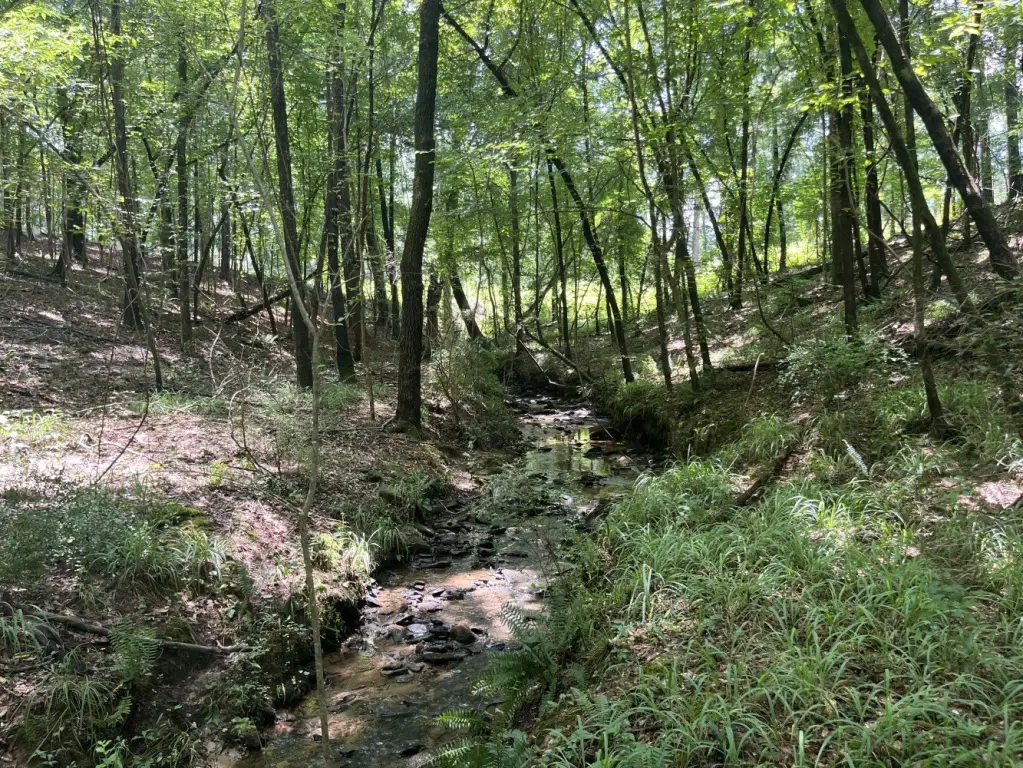 Picture 25