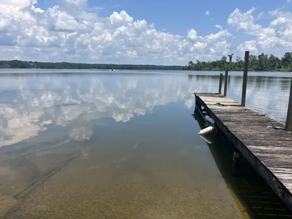 Picture 10