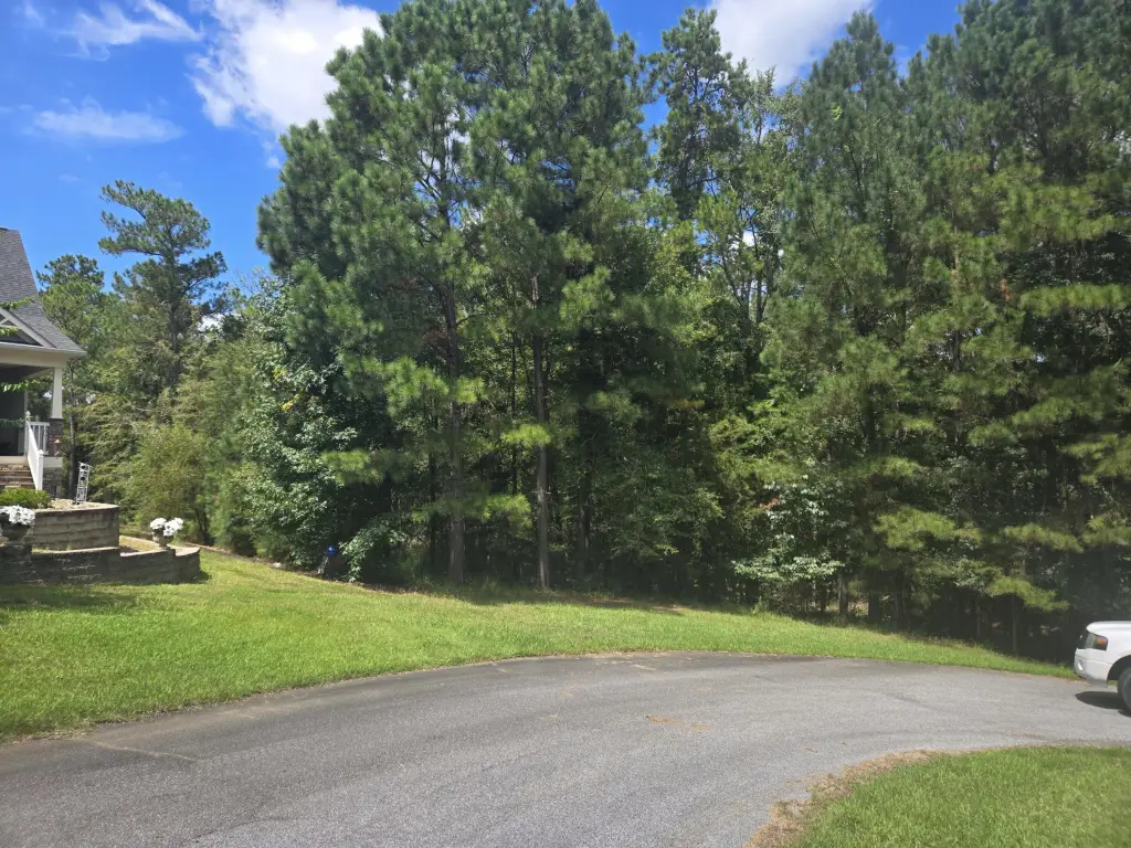 Picture 17
