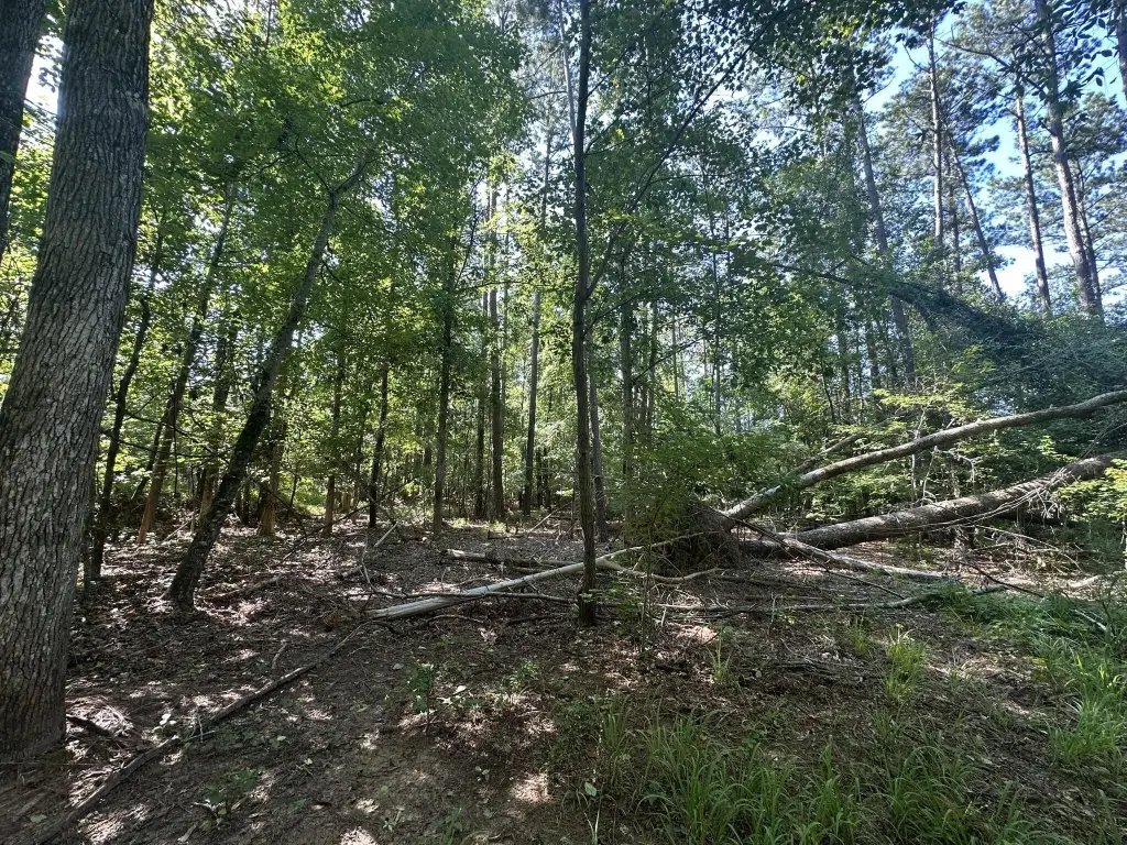 Picture 16