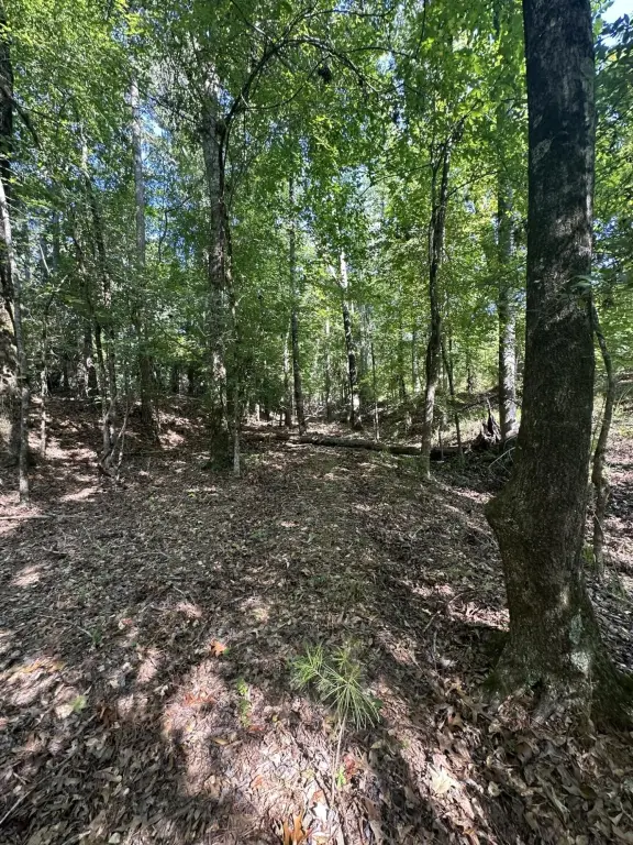 Picture 18