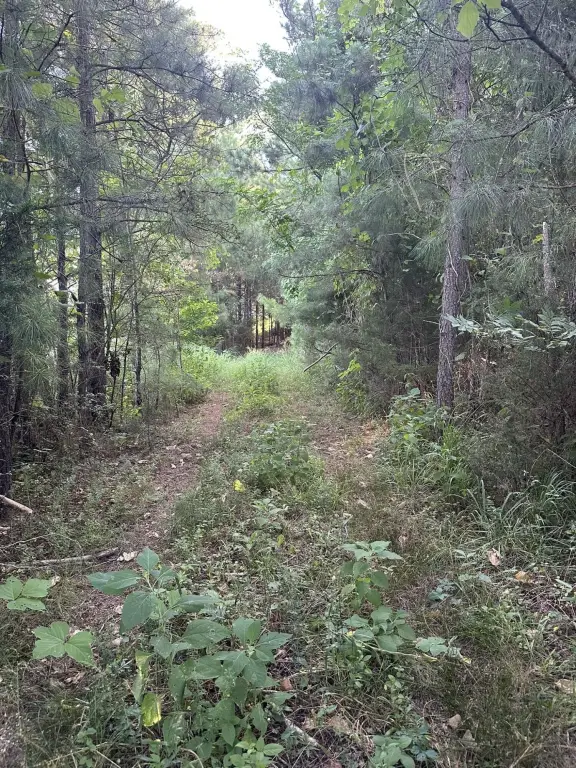 Picture 4