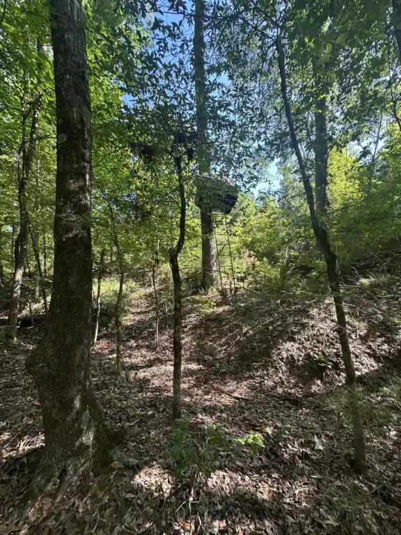 Picture 17