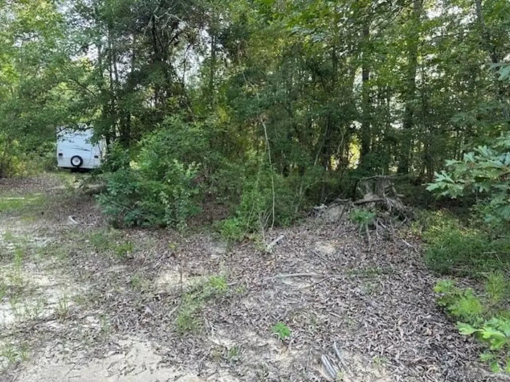Picture 31