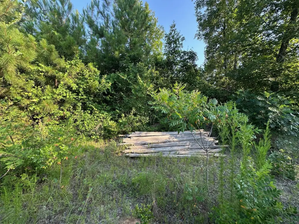Picture 21