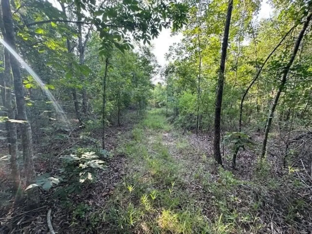 Picture 24