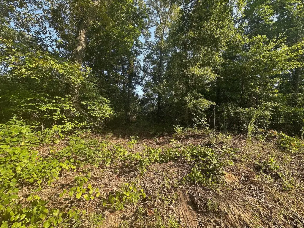 Picture 46