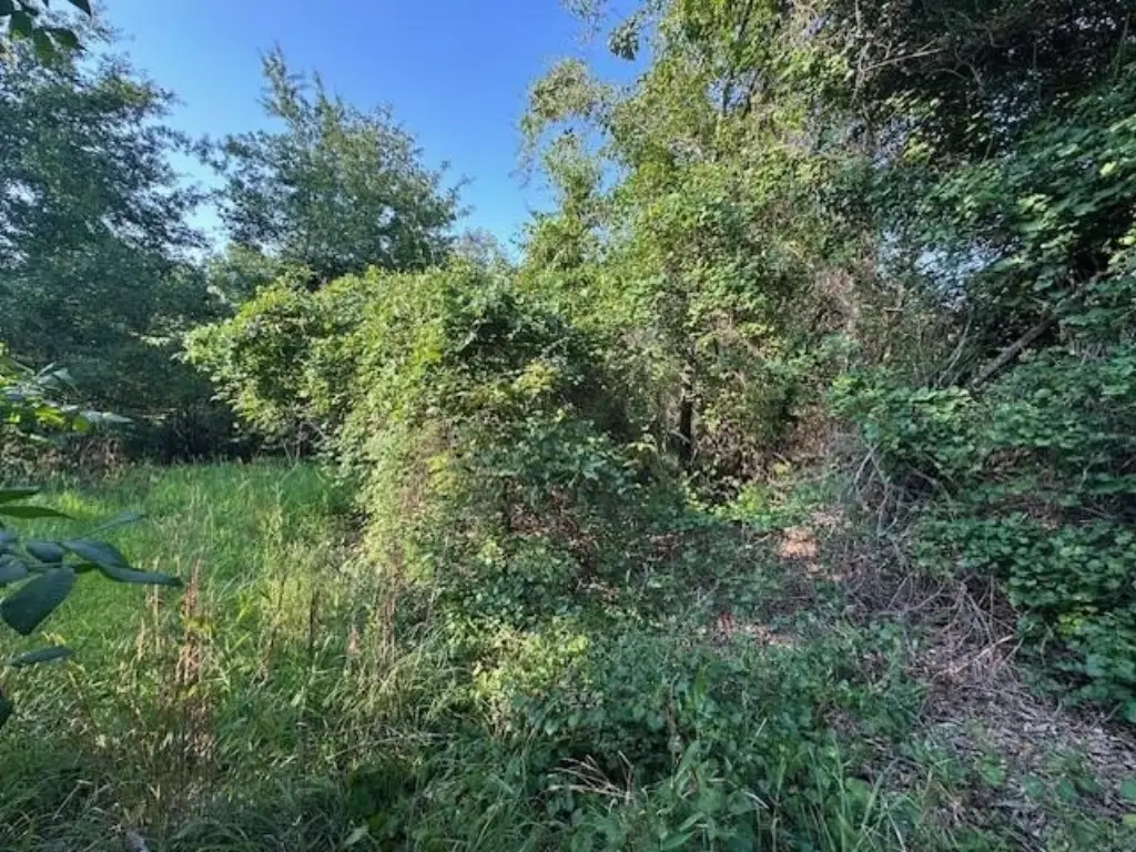 Picture 26