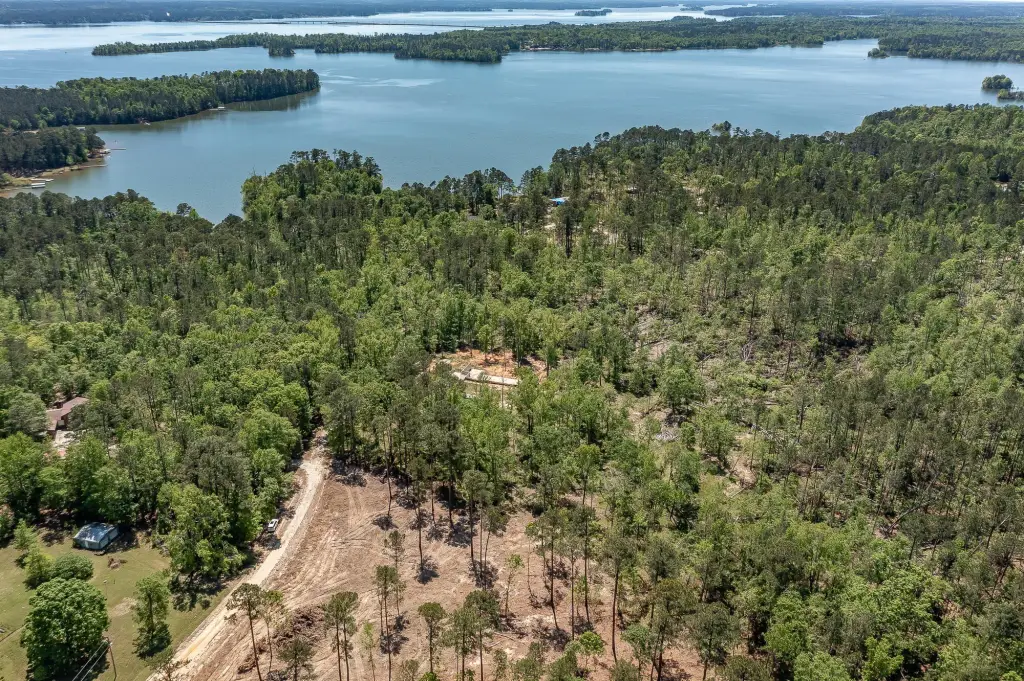 Picture 11