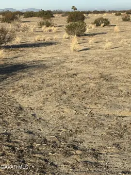 Palmdale Agricultural Land For Sale