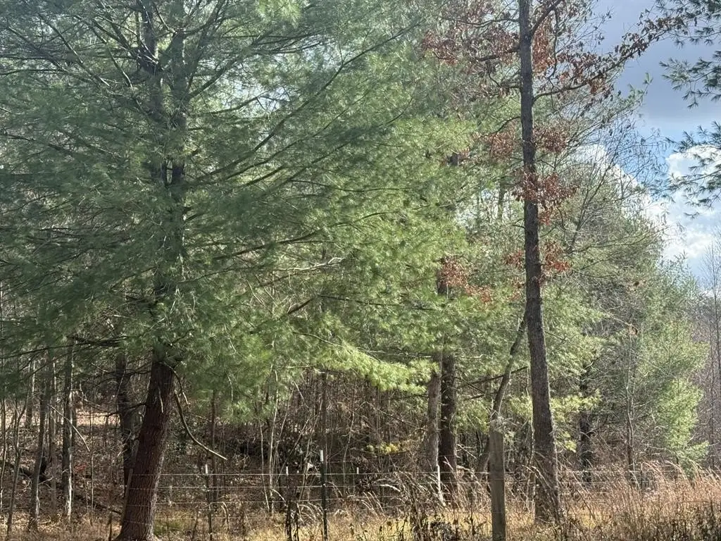 Picture 18