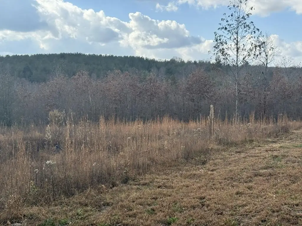 Picture 15