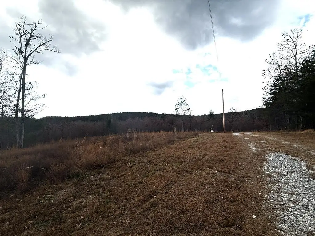 Picture 12