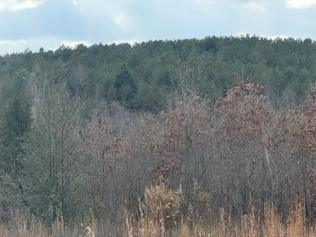 Picture 17